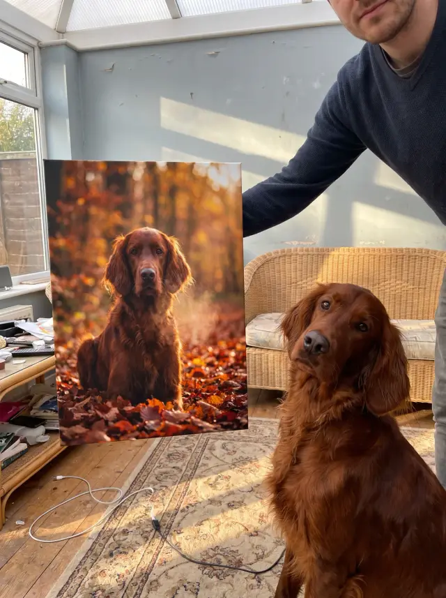 Autumn Walk printed as a gallery-wrapped canvas, hung in a room